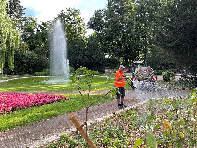 Ein städtischer Mitarbeiter gießt mit Hilfe eines großen Wassertanks Beete im Stadtpark. Im Hintergrund sieht man einen Springbrunnen und hohe Bäume.