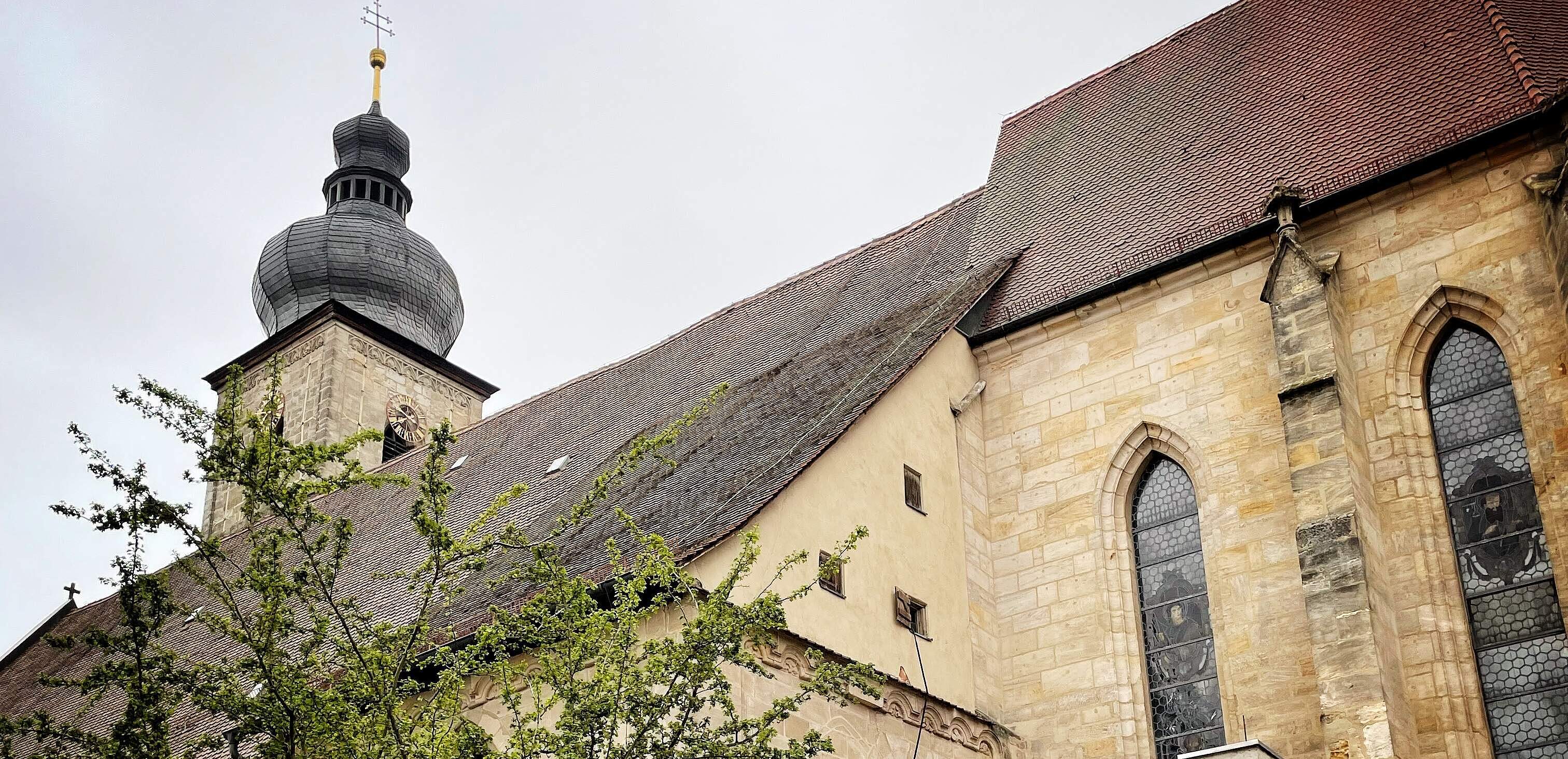 Seitenansicht einer barocken Kirche mit Sansteinfassade. Links im Vordergrund befindet sich ein Baum.
