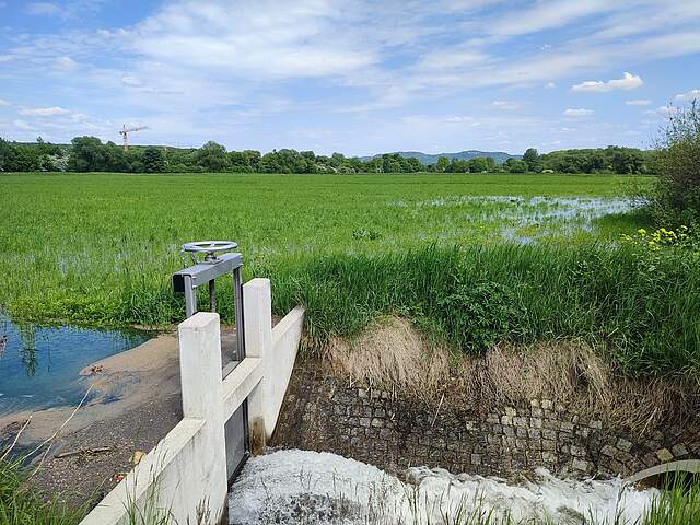 Das Foto zeigt eine geoße Wiese. Im Vordergrund links steht Wasser in der Wiese und wird an einem Wehr gestaut. Durch das offene Wehr sprudelt Wasser.