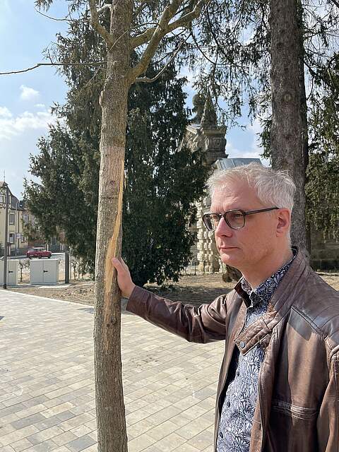 Oberbürgermeister Dr. Uwe Kirschstein zeigt auf eine große eingeritzte Kerbe und abgezogener Rinde an einem frisch gepflanzten Baum.