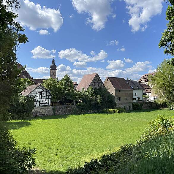 Eine große von Bäumen und Strächern umgebene Wiesenfläche mit Altstadthäusern und Kirchturm der Kirche St. Martin Forchheim.
