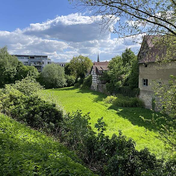 Eine große von Bäumen und Strächern umgebene Wiesenfläche mit Altstadthäusern und einem Ausschnitt eines mehrstöckigen, modernen Wohnkomplexes..