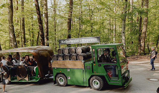 Kellerwald-Express Zug auf dem Weg in den Kellerwald.