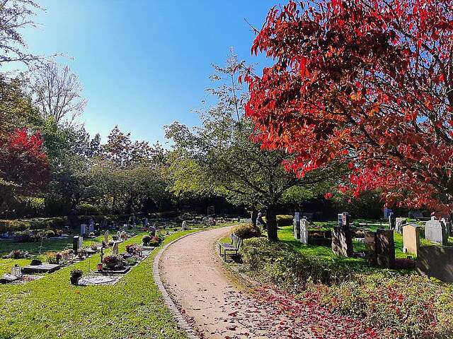 Bild vom Friedhof mit Gräbern
