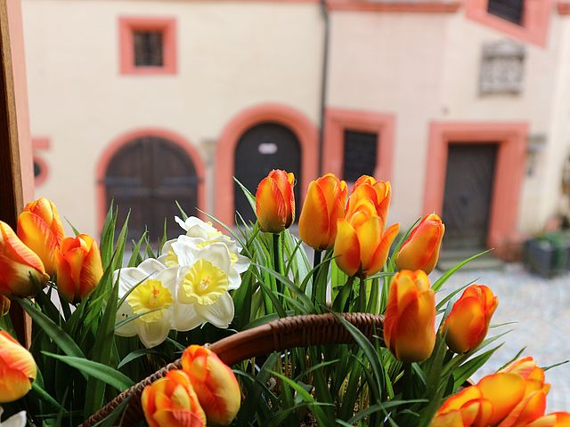 Ein Weidenkorb mit orangefarbenen Tulpen und weißen Osterglocken stehen an einem Fenster. Man sieht den Innenhof der historischen Kaiserpfalz.