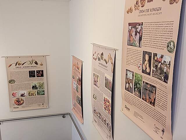 Plakate mit Erklärungen zu verschiedenen Nutzpflanzen