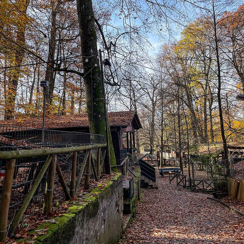 Ansicht eines Bierkellers im Herbst