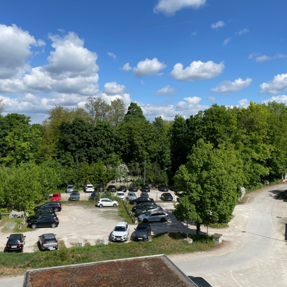 Ein geschotterter großer Parkplatz umgeben von großen Bäumen.