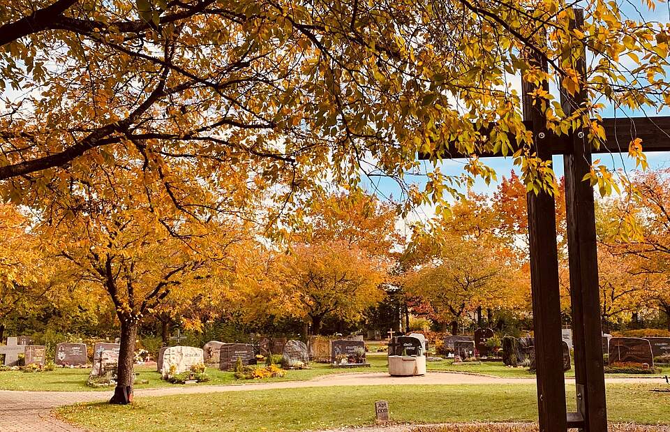 Neuer Friedhof Herbstliche Bäume auf dem neuen Forchheimer Friedhof