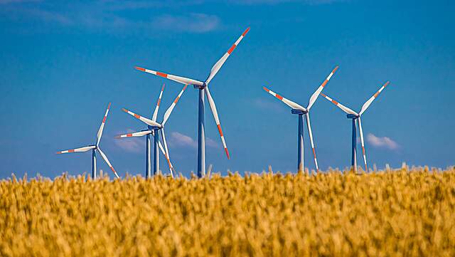 Sechs Windkrafträder an einem sonnigen Tag. Im Vordergrund erkennt man unscharf ein Weizenfeld.