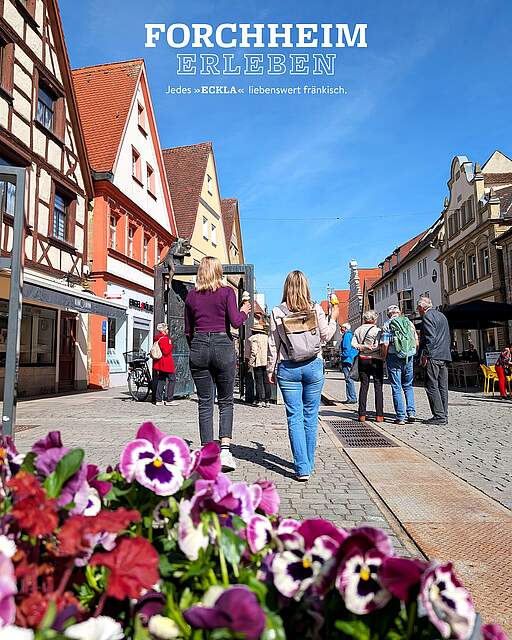 Bild der Forchheimer Innenstadt