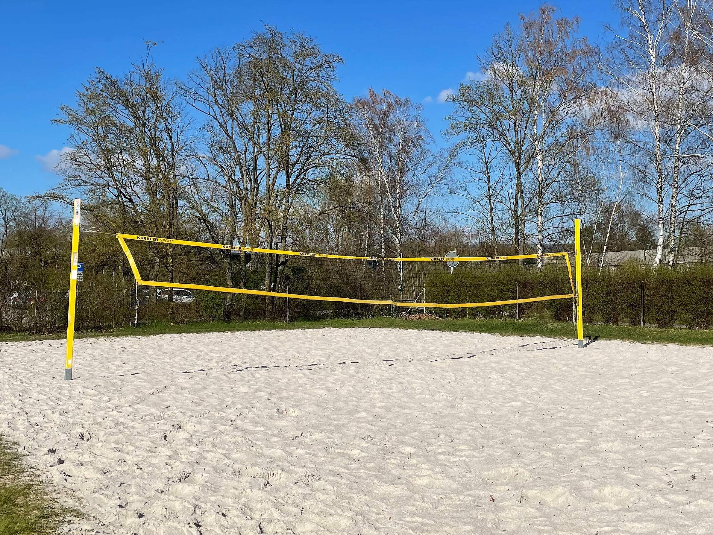 Ein Beachvolleyballfeld mit großen Bäumen im Hintergrund.