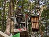 Zwei Personen stehen auf einem Hubsteiger in einem Wald und kontrollieren einen Nistkasten aus Holz.