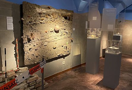 Ein Ausstellungsraum in einem Museum zeigt ein Sedimentspräparat, das an der Wand hängt umgeben von Glasvitrinen. Im linken Bildrand ist ein Absperrband erkennbar mit dem Schriftzügen "Einsatz" und "Archäologie".
