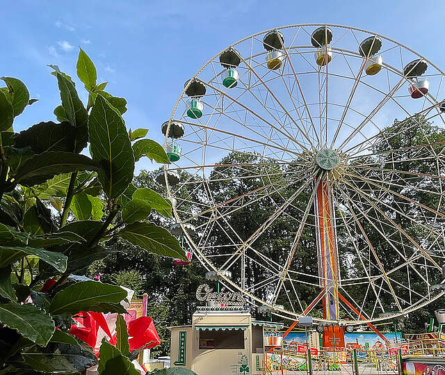 Bild vom Riesenrad auf dem Annafest