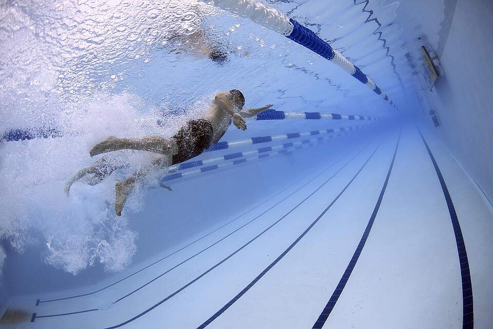 Schwimmer im Becken bei Wettkampf