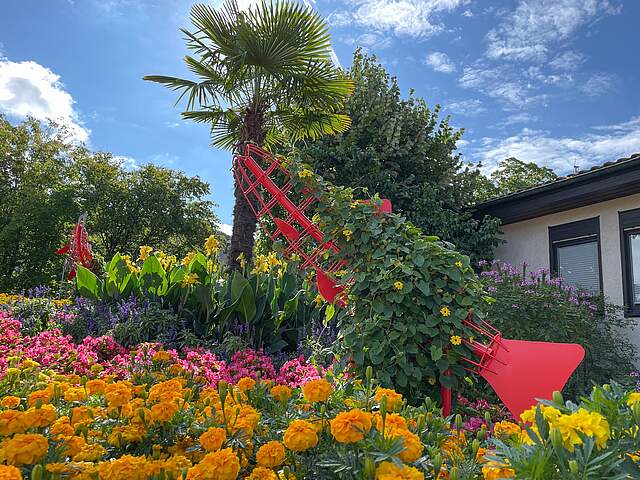Ein mit bunten Sommerblumen bepflanztes großes Blumenbeet mit einer Palme im Mittelpunkt unter strahlend blauem Himmel.