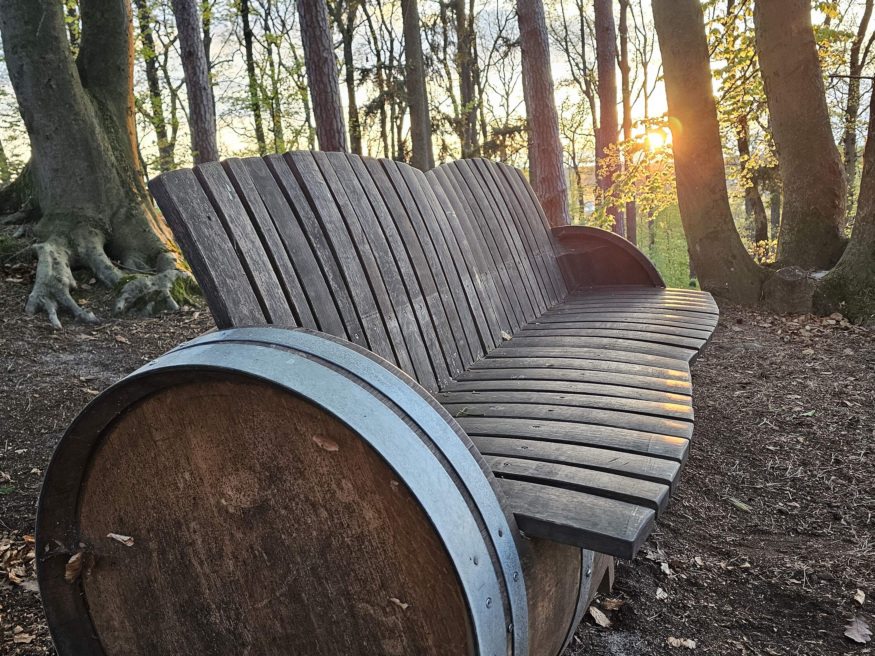 Abendstimmung im Kellerwald Rustikale Ruhebank bei Sonnenuntergang im Forchheimer Kellerwald
