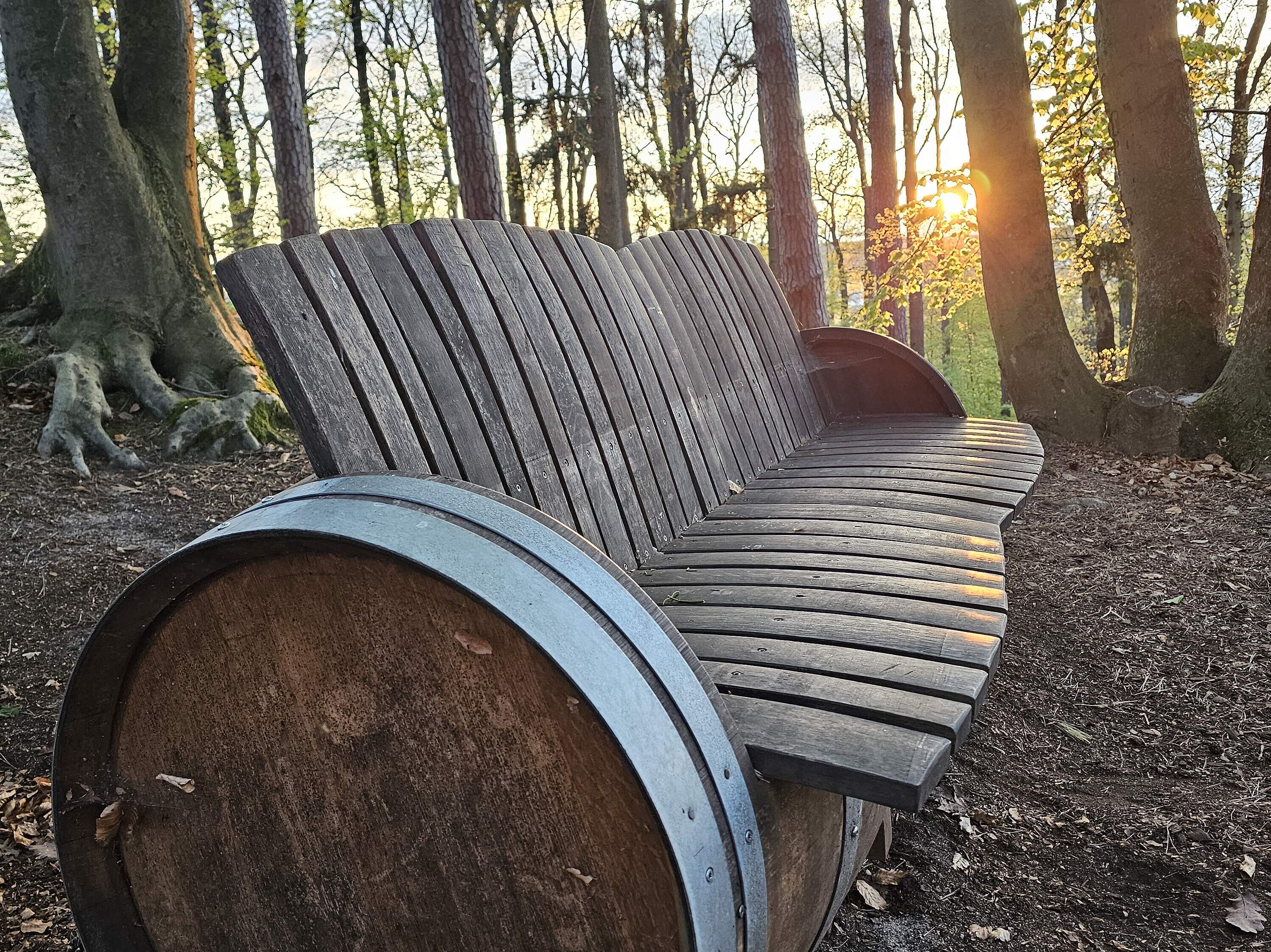 Rustikale Ruhebank bei Sonnenuntergang im Forchheimer Kellerwald
