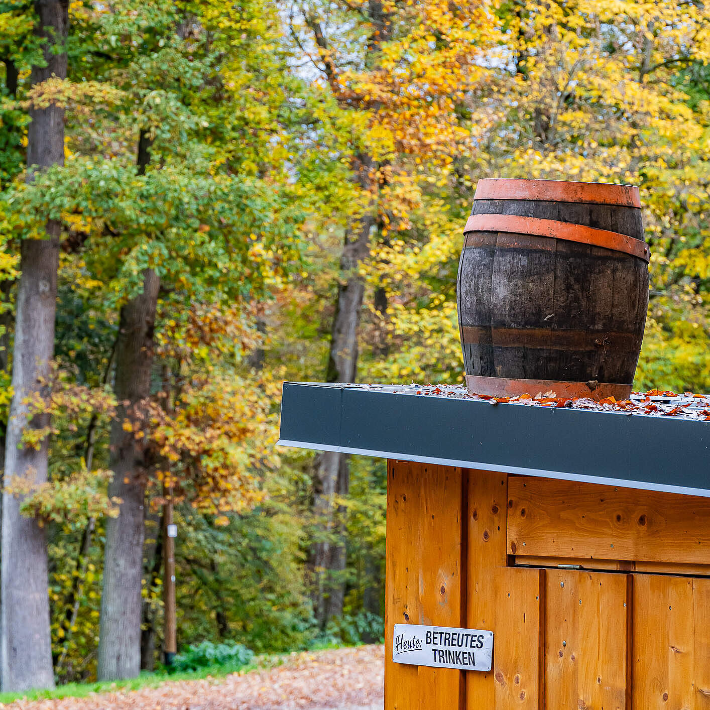 Bierfass auf Dach vor herbstlichem Wald