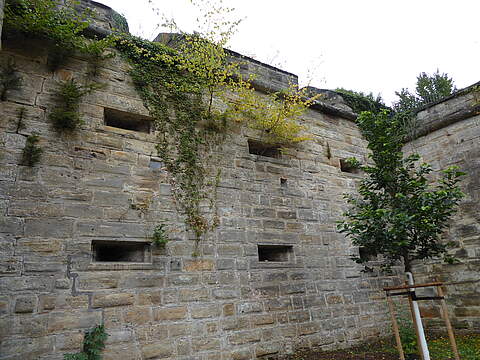 Eine bewachsene hoch Stadtmauer mit Scharten, die damit ideale Brutplätze für Vögel wie den Mauersegler bietet.