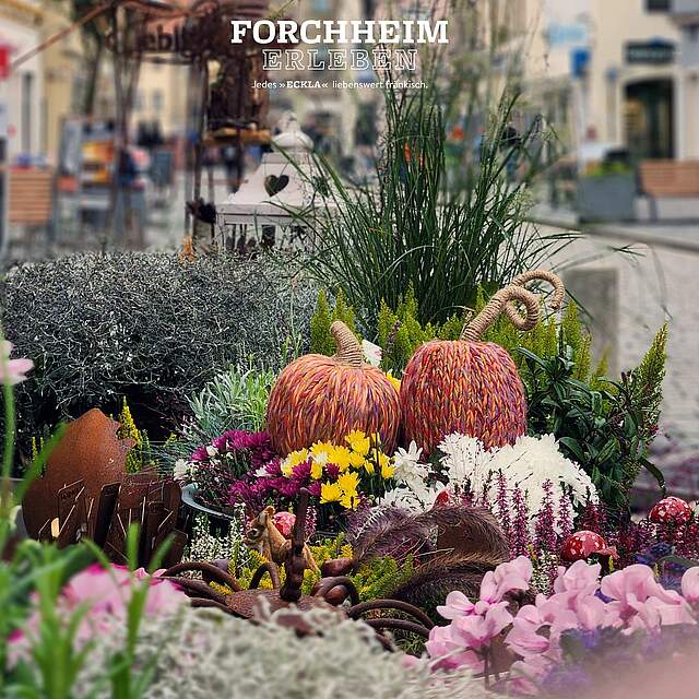 Herbstlich dekorierte Hauptstraße in Forchheim