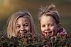 Ein Junge und ein Mädchen mit blonden zerzausten Haaren lachen fröhlich. Sie schauen über eine grüne Hecke.