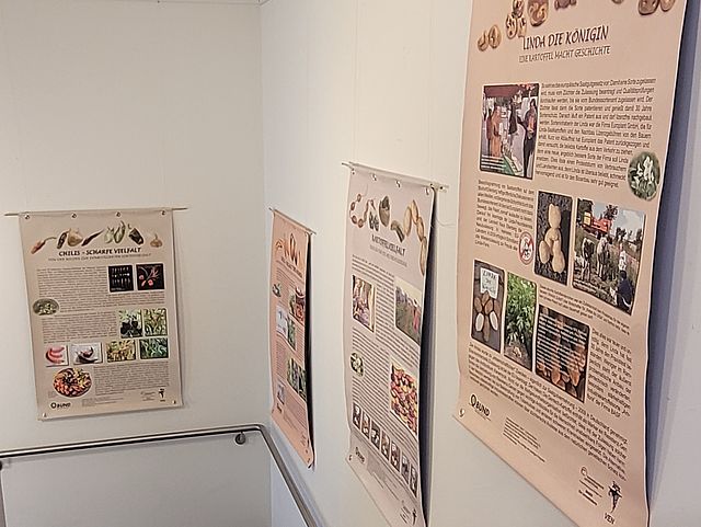 An den weißen Wänden hängen in einem Treppenhaus mit dunkelgrauen Fliesen vier Informations-Poster, die verschiedenste Nutzpflanzen abbilden und deren Nutzen und Bedeutung beschreiben.