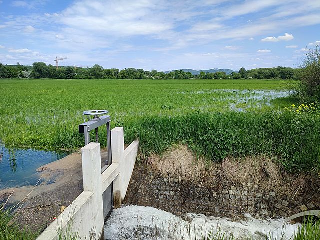 Das Bild zeigt einer große überflutete Wiese. Im Vordergrund befindet sich ein kleiner Fluss mit einer manuellen Schleuse zur  Regulierung des Wasserstandes.
