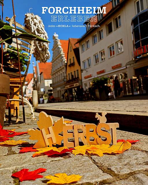 Foto mit Blättern und dem Wort Herbst