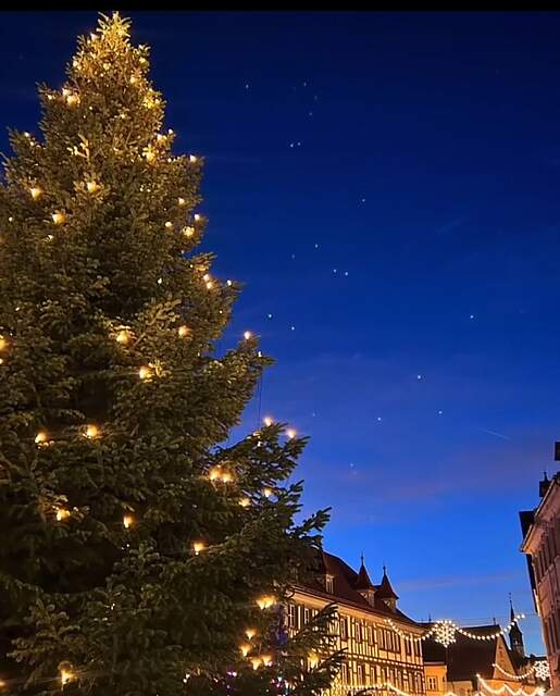 Ein großer Weihnachtsbaum auf einem Stadtplatz in der Abenddämmerung. Im Hintergrund ein Ausschnitt des stimmungsvoll beleuchteten Forchheimer Weihnachtsmarkts.