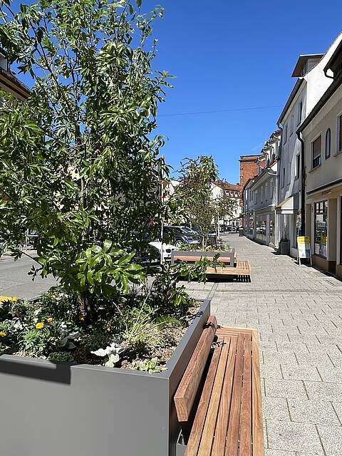 Greenpoints Forchheim Drei große Pflanzcontainer mit Sitzbänken und Großsträuchern verschönern einen breiten Gehsteig in der Innenstadt