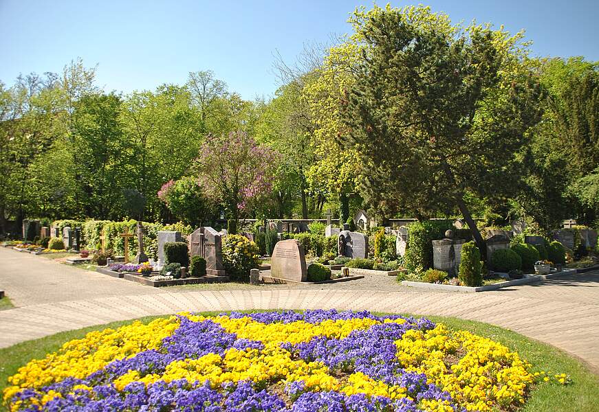 Blumeninsel am Alten Friedhof mit Frühjahrsblühern. Im Hintergrund befinden sich Erdgräber, gesäumt von großen Bäumen.