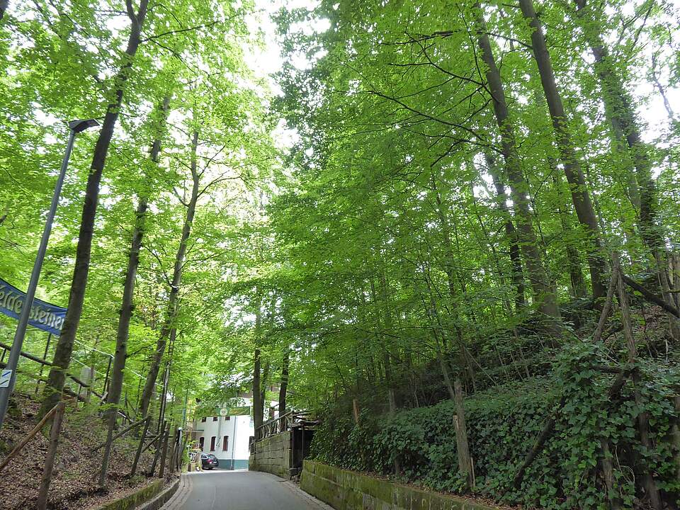 Kellerwald Forchheim obere Keller Blick auf die oberen Keller