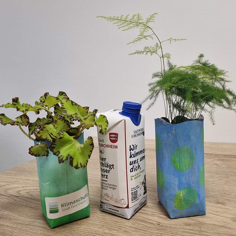 Vasen aus Tetrapack mit Grünzeug als Upcycling-Projekt