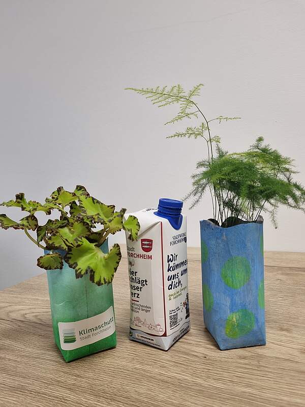 Vasen aus Tetrapack mit Grünzeug als Upcycling-Projekt 