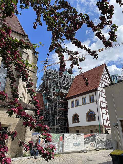 Außenansicht der Rückseite des historischen Rathauses in Forchheim mit der teilrestaurierten Fassade. Im Bild noch ein Teil der Kirche St. MArtin sowie einige blühende Äste des Rotdorns.