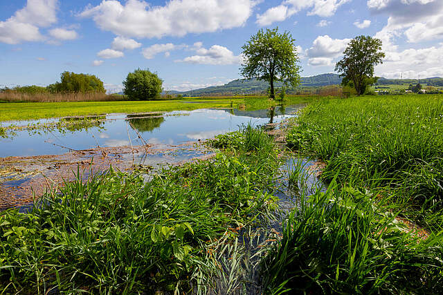 Wässerwiese bei Forchheim mit schöner Landschaft