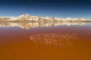Laguna Colorada in Bolivien ©Michael Martin