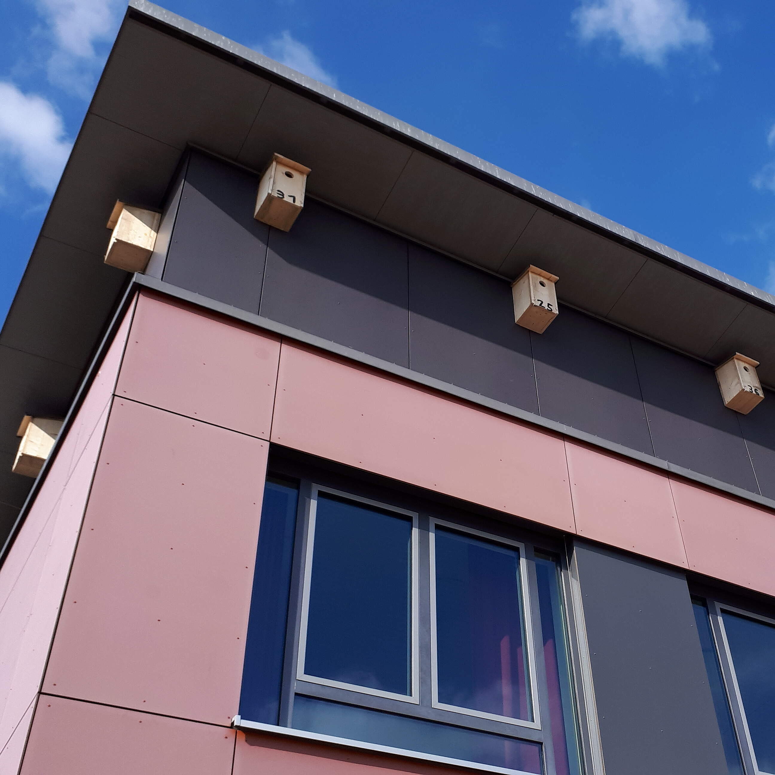 Mehrere Ersatz-Nistkästen unter einem DAch an einem Gebäude mit rosa Fassade.