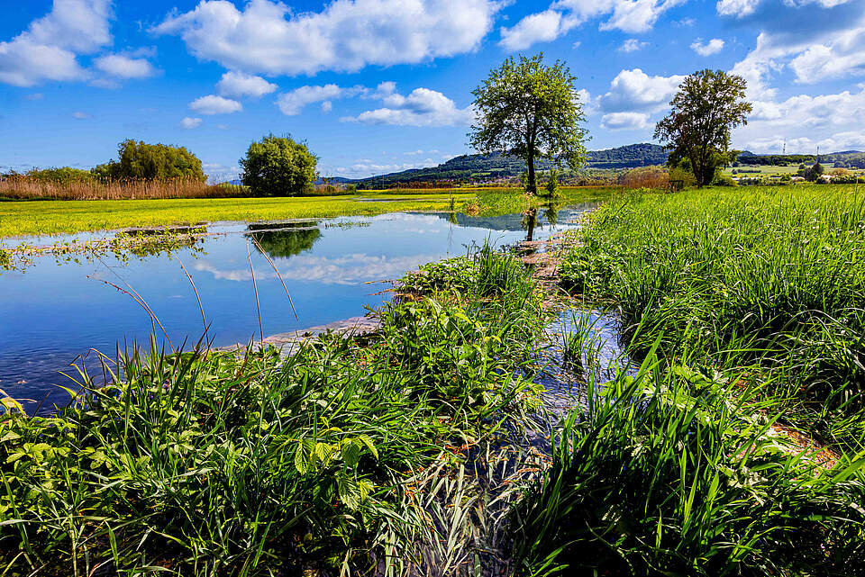 Überflutete Wiese der Wässerwiesen