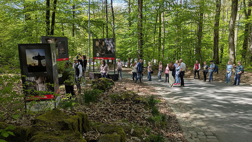 Kellerwald mit Stehlen und ausgestellten Bildern