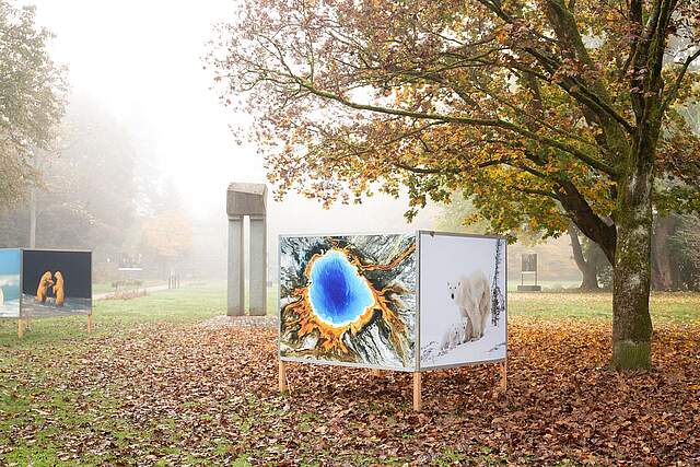 Der Fotopark im Nebel im herbstlichen Stadtpark mit großformatigen Ausstellungswänden.