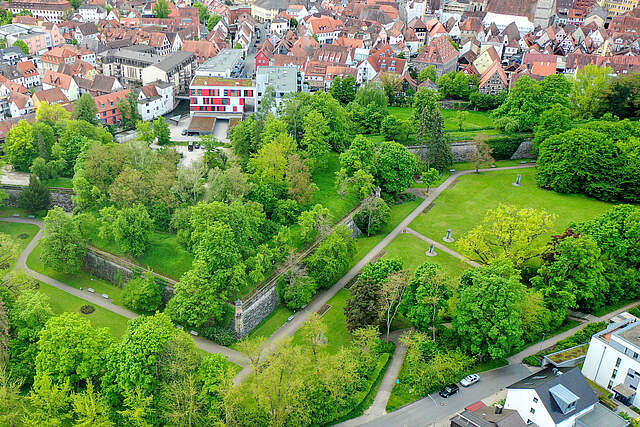 Luftbildaufnahme mit Ausschnitt des Forchheimer Stadtparks mit dem "Alten Krankenhausgarten" und angrenzenden Häusern.