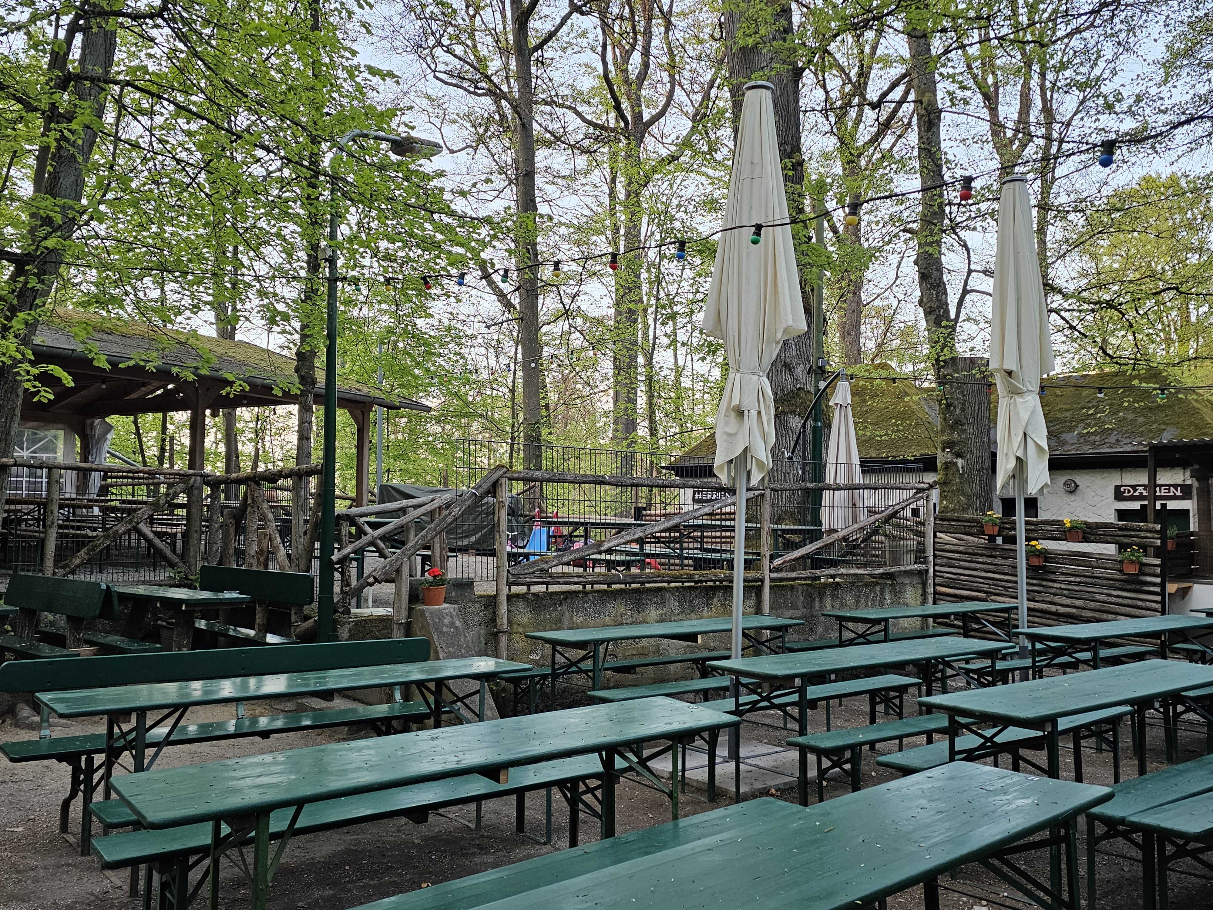 Zahlreiche Biergarnituren auf einem Bierkeller mit Sonnenschirmen, umgeben von Bäumen des Forchheimer Kellerwalds.