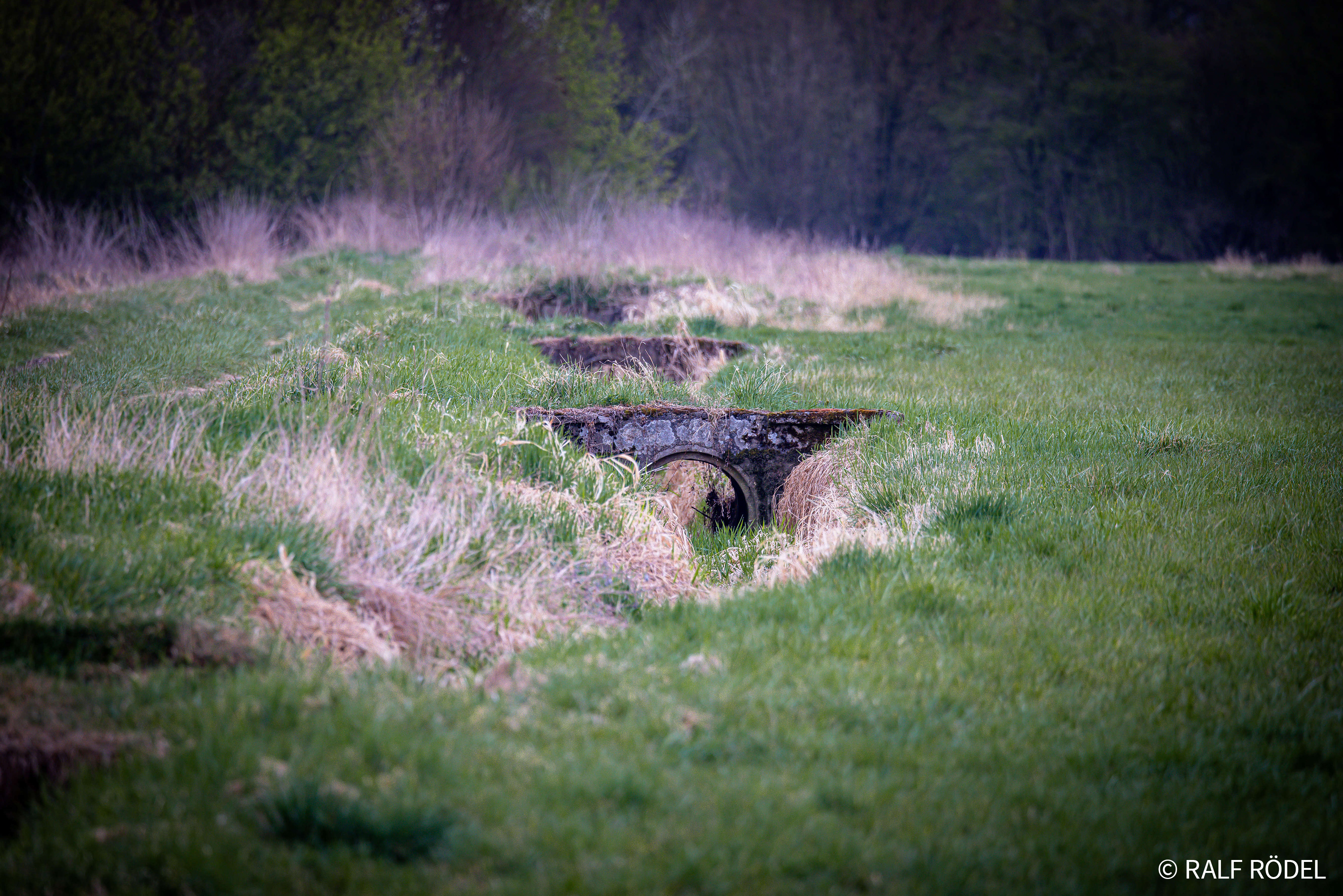 Mit Brettern verschlossener Wassergraben auf grüner Wiese