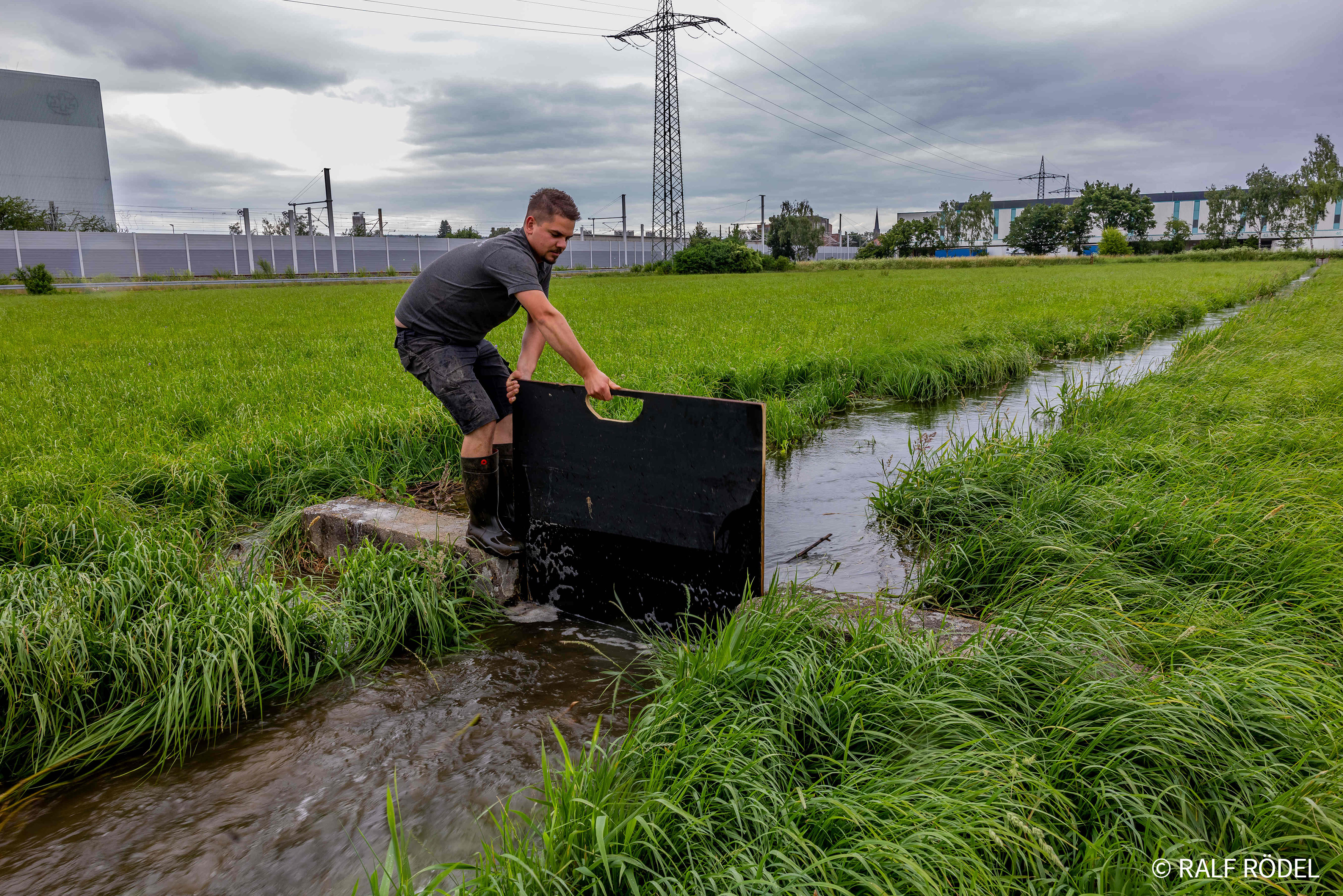 Wässerer bringt Steckschütz in den Wassergraben ein.